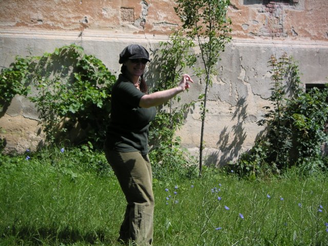 pict0029.jpg